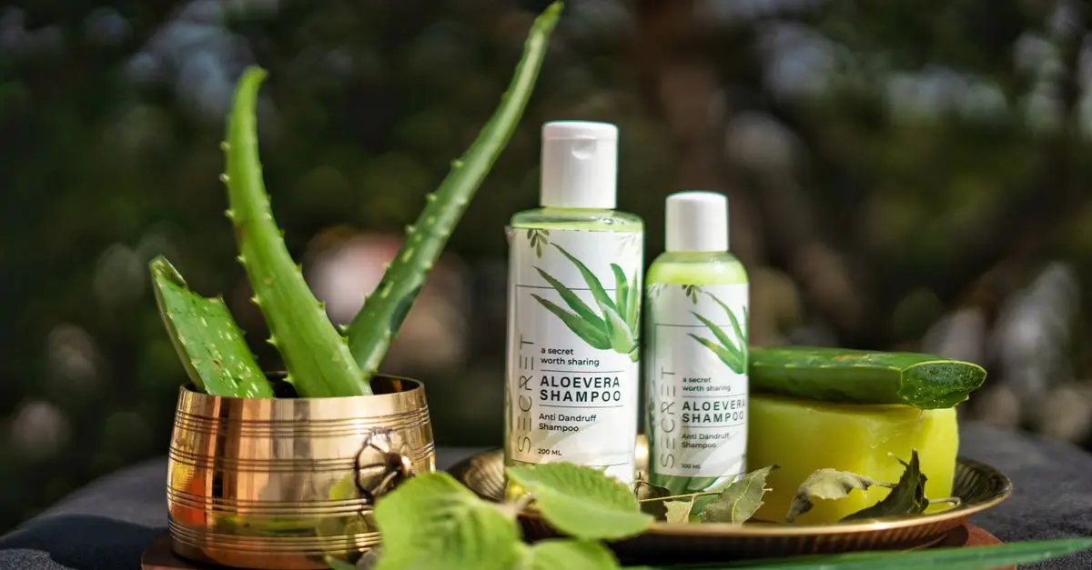 Les Bienfaits de l'Aloe Vera pour un Teint Parfait