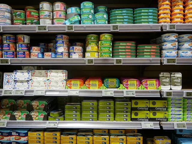 Comment Évaluer et Choisir le Bon Fond de Teint