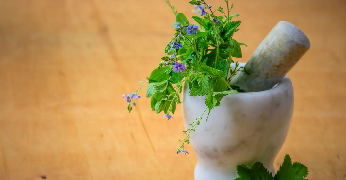 Les Plantes Médicinales pour un Teint Radieux