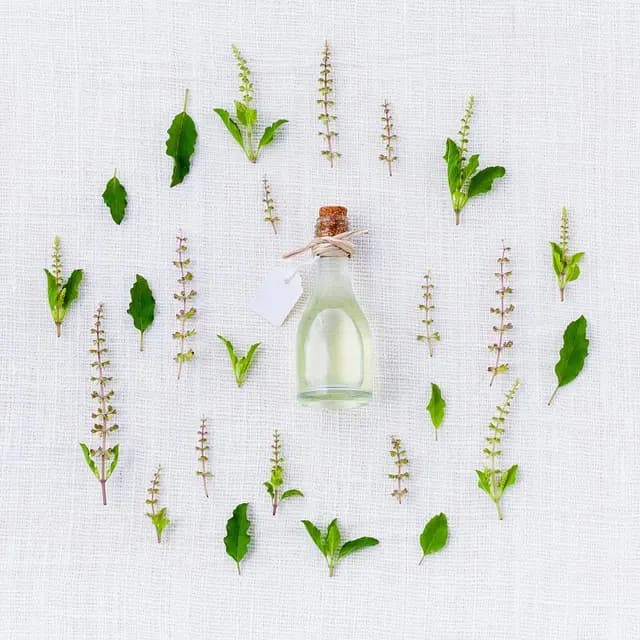 Les Meilleures Huiles Essentielles pour un Teint Parfait