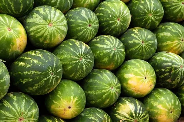 Les Meilleurs Aliments pour Un Teint Radieux et Sain