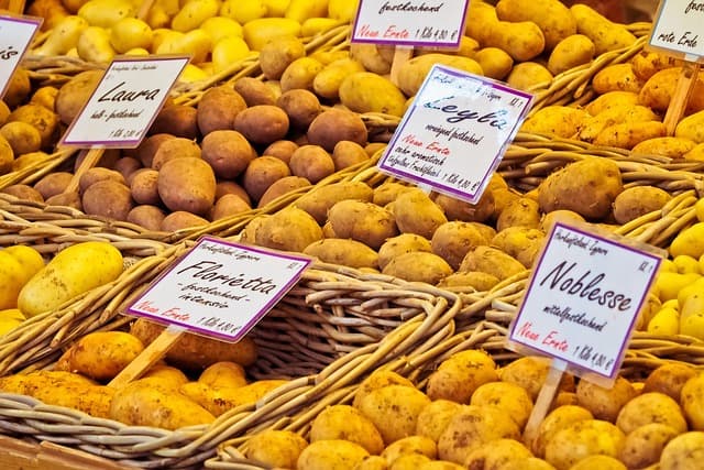 Les Aliments qui Favorisent un Teint Parfait et Éclatant